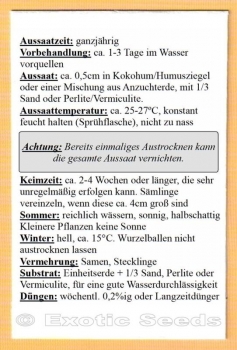 Passiflora macrophylla, 6 Samen